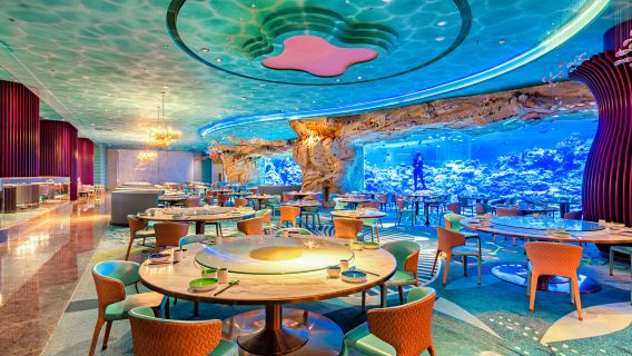 Zhuhai Chimelong Spaceship Hotel Spaceship Coral Restaurant Buffet Lunch