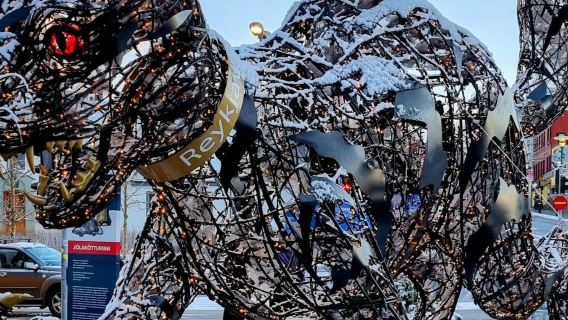 Reykjavik: Catwalk Tour