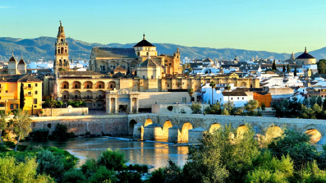 1-day tour to Alcazar of the Christian Monarchs, Mosque-Cathedral of Córdoba, and Medina Azahara in Cordoba