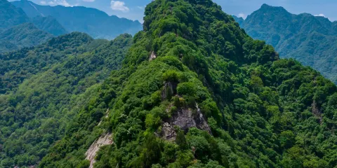 翠華山一日遊【小團出遊,賞秀美湖光山色,追曠野氧吧自由】