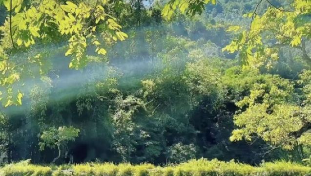 Lawatan Sehari Warisan Semula Jadi Dunia Xiaoqikong Tanpa Aktiviti Tambahan