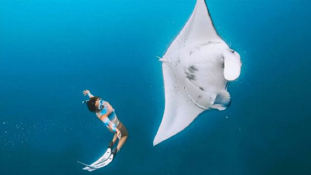 9-uurse duik- en snorkelervaring op Nusa Penida, Bali, Indonesië [Vertrek vanaf Bali + snorkelen met manta's + snorkelen in Crystal Bay + gedeelde boottocht + inclusief lunch]