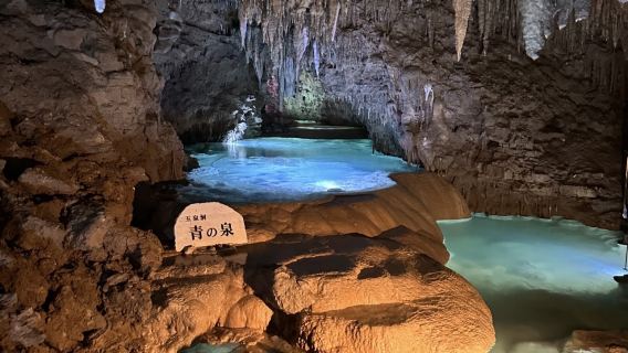 Lawatan Sewaan Peribadi Eksklusif Berbahasa Cina di Okinawa, Jepun & Perkhidmatan Pemandu Pelancong Tempatan Berbahasa Cina/Inggeris + Penerangan Berpandu