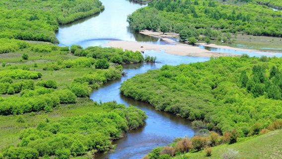 額爾古納濕地公園+馴鹿部落+莫爾格勒河景區 純玩一日遊