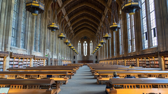 University of Washington + Microsoft building 88 + Space needle (World cup classic city tour)
