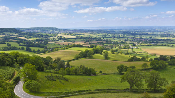 1-day tour to Cotswolds from London with round-trip transfer including two-course lunch