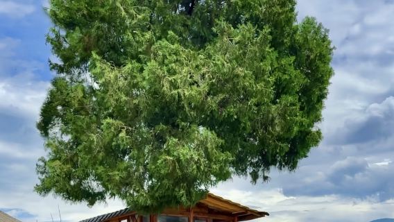 Lawatan Sehari Bandar Lama Dali + Bandar Lama Shaxi + Bandar Lama Lijiang [Berlepas dari Dali, Tamat di Lijiang - Percutian Tanpa Risau]