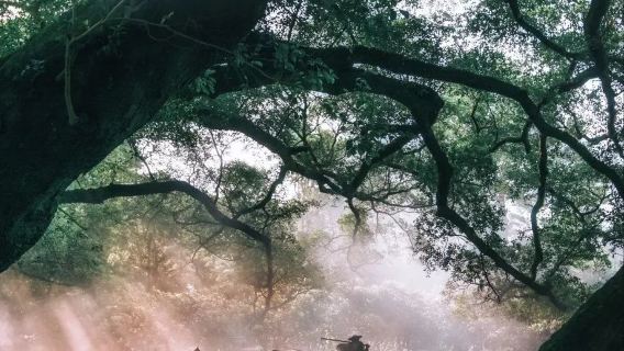 Xiapu Laluan Timur Yangjiaxi - Taman Rongfeng - Kampung Huazhu - Jejak Cahaya - Dongbi (Lawatan Sehari)