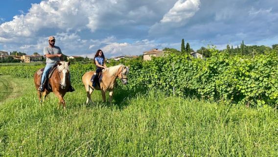 Lake Garda: 2 hours Horseback Ride in the Countryside