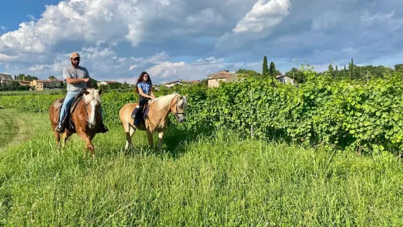 Lago de Garda: Passeio a Cavalo de 2 Horas no Campo