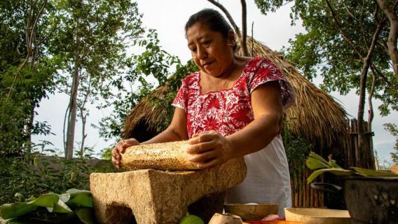 Valladolid: Mayan Cooking Class with 5 Dishes