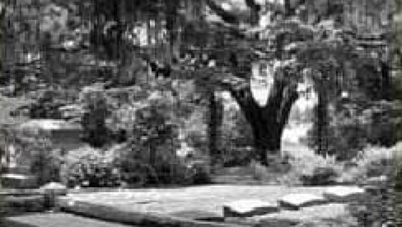 Savannah: Midnight in the Garden of Good and Evil Walk