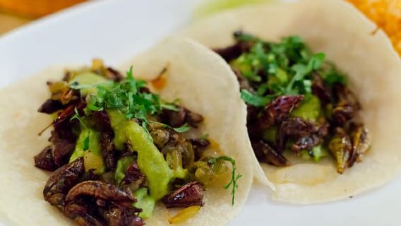 Food Hoppers 2.5-Hour Tour in Playa del Carmen