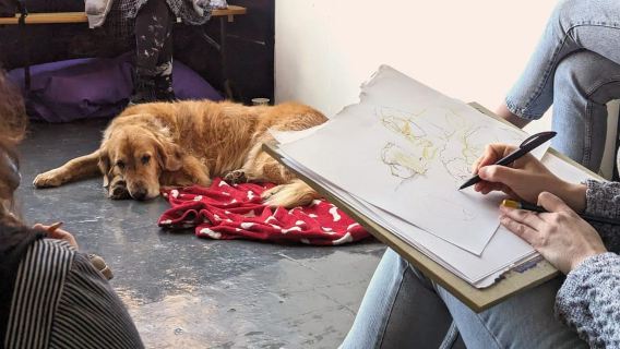 Bristol: Dog Life Drawing led by local Artist Cai Burton