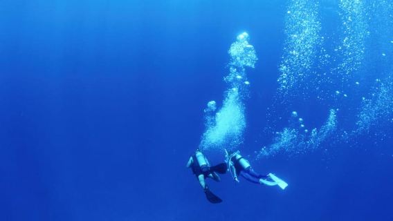 Flamingo & Tamarindo: Two Dives at Las Catalinas Islands