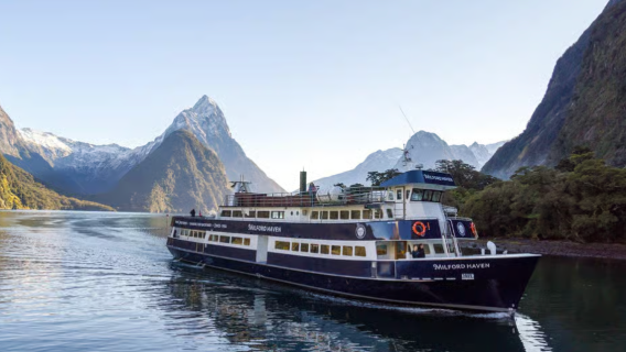 Vanuit Queenstown of Te Anau: Milford Sound boottocht en langeafstandsbus eendaagse tour