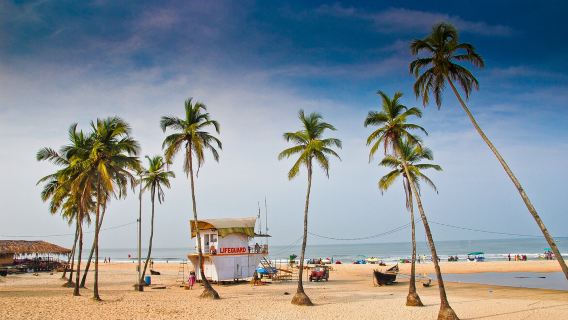 South Goa Full Day Tour With Car and Guide