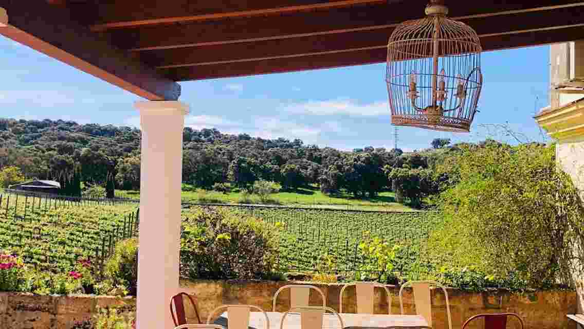 Bodega Doña Felisa: Guided Tour & Wine Tasting or Lunch | Trip.com