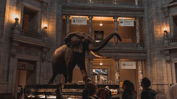 Washington D.C.Tours