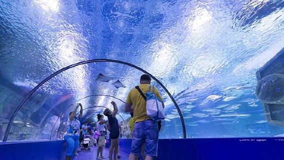 Antalya: Aquarium, Wax Museum & Combo Package Options