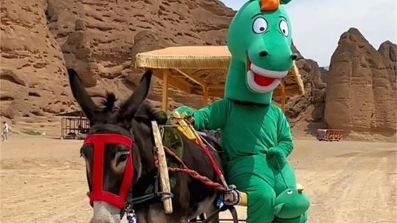 景泰黃河石林國家地質公園+永泰古城一日遊【精品純玩私家團】