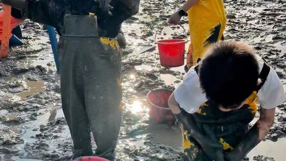 福建寧德霞浦牛嶼灘塗趕海體驗+灘塗景區門票+趕海工具+漁民導遊（收穫打包帶走+福建周邊遊+團建優選）