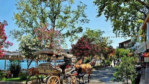 IstanbulTours