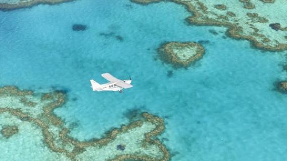 Airlie BeachExperiences