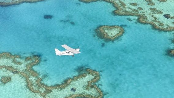 Airlie BeachExperiences