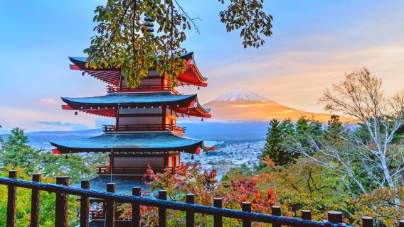 Mount Fuji INS Hot Spots Day Tour,Arakurayama Sengen Park,Lake Kawaguchi,Oshino Hakkai