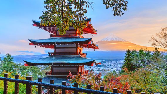 Mount Fuji INS Hot Spots Day Tour,Arakurayama Sengen Park,Lake Kawaguchi,Oshino Hakkai