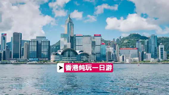 香港一日遊+太平山頂+船遊維港+贈上網卡+真純玩【含午餐】