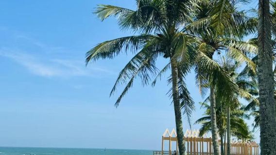 one-day tour to Qionghai, Hainan + China (Hainan) Nanhai Museum + Boao Forum for Asia Founding Site + Boao Forum for Asia Permanent Site