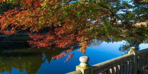 廬山山頂一日遊【美廬別墅+如琴湖+仙人洞+石門澗】九江來回