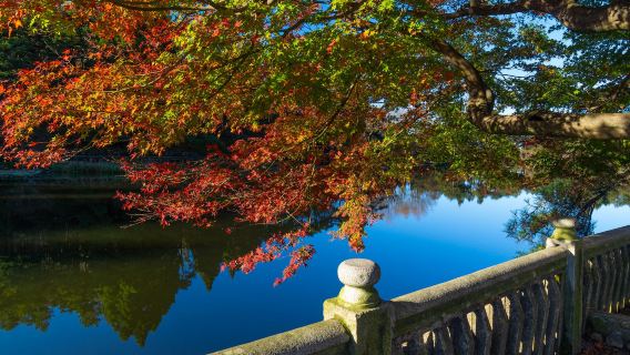 九江出發【美廬別墅+如琴湖+仙人洞+石門澗】廬山山頂一日遊