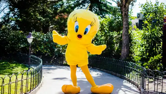 Parque Warner Madrid: Entry Ticket