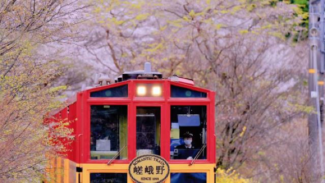 清水寺＋伏見稻荷大社＋三年阪二年阪＋嵐山包車一日遊