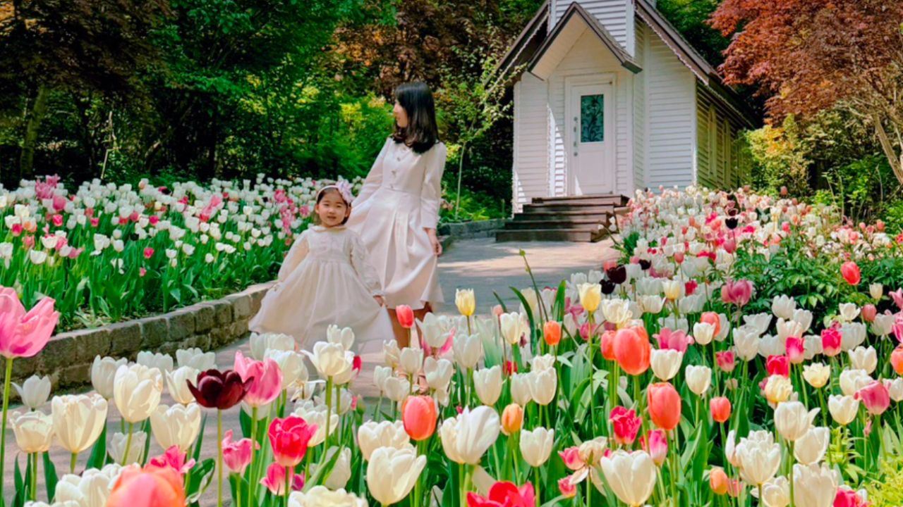 Nami Island, Gangchon Rail Bike, and The Garden of Morning Calm