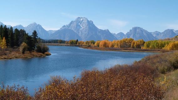 From Jackson: Half-Day Grand Teton National Park Tour