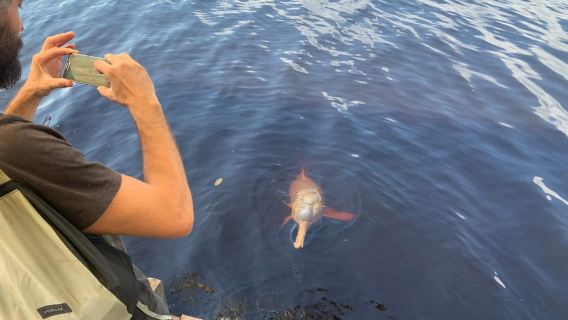 From Manaus: One-Day Amazon Jungle Experience