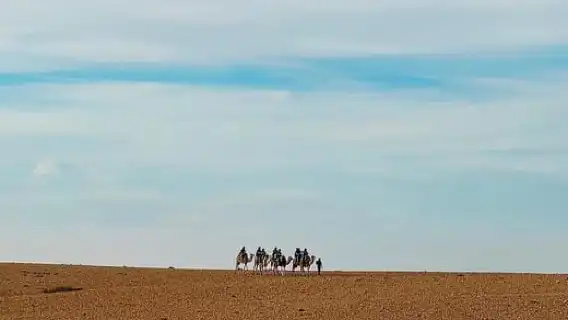 จากเมืองมาร์ราเกช: ทัวร์ชมพระอาทิตย์ตกที่อากาเฟย์พร้อมอาหารค่ำและการแสดง