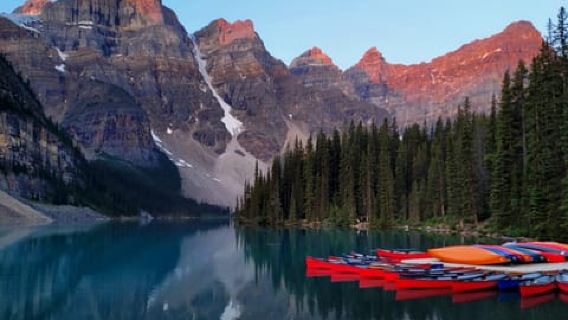 From Canmore/Banff: Moraine Lake Sunrise & Lake Louise Tour