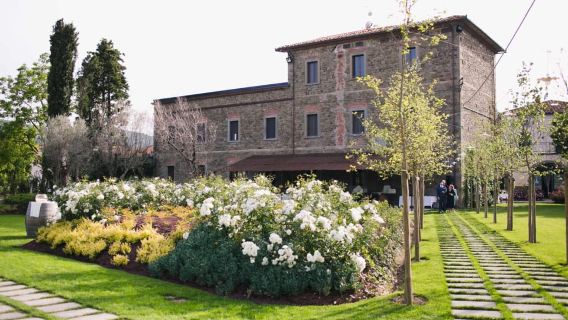Castiglion Fiorentino: Raccolta di ortaggi e esperienza del vino