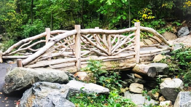 New York City: wandeltocht langs geheime plekken in Central Park