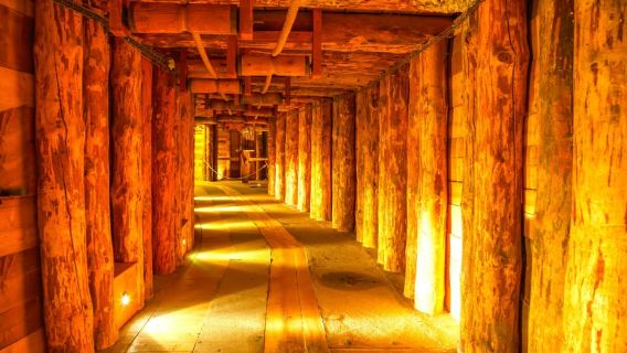 Ab Krakau: Führung durch das Salzbergwerk Wieliczka & Ticket ohne Anstehen