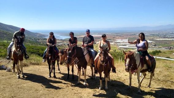 Ensenada: Baja's Hidden Trails: Horseback Ride w/ Ocean View