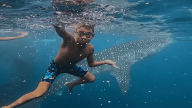 Cebu : aventure de plongée avec tuba à Oslob et au requin-baleine à Moalboal