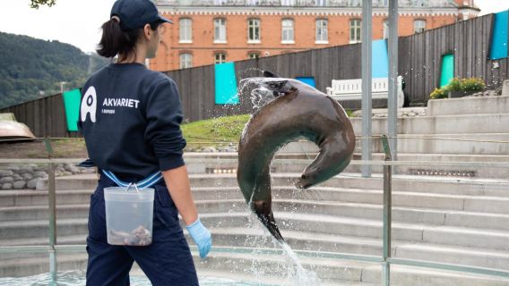 Bergen: Tiket Masuk Akuarium Bergen