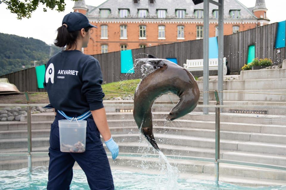 Bergen: Bergen Aquarium Entry Ticket