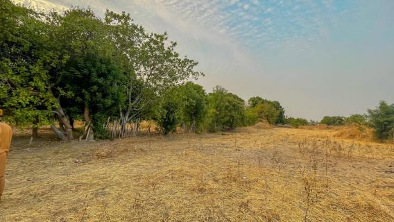 Serrekunda: tour a cavallo tra foreste e risaie